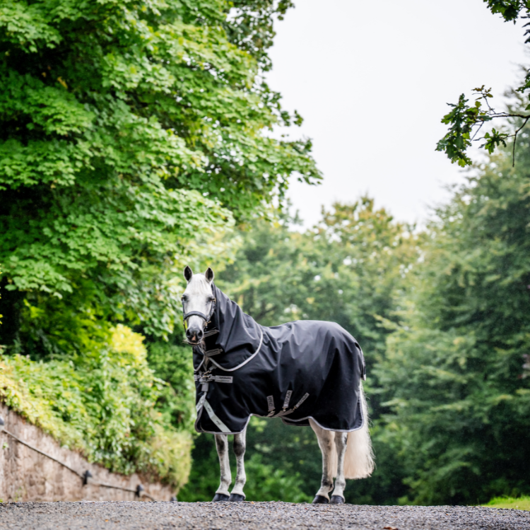 Couverture Horseware Amigo Bravo 12 plus 400grs noir/gris