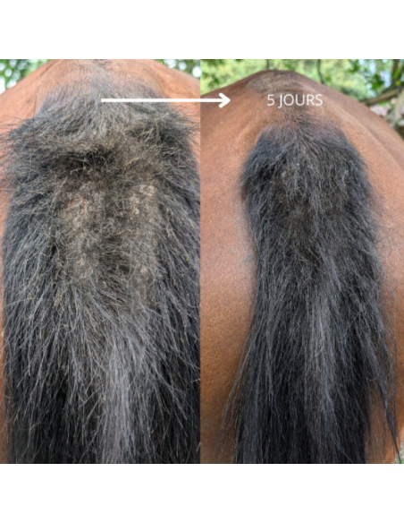 Huile 067 Ozone Skin Guard