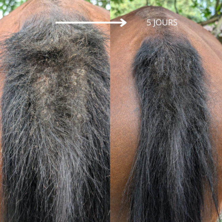 Huile 067 Ozone Skin Guard