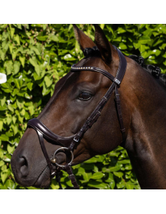 Bridon Premier Equine Palazzo Noir 2