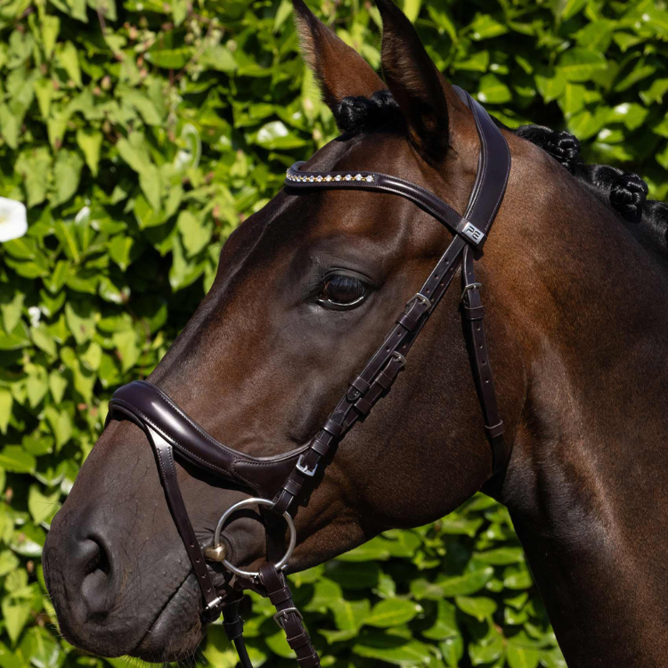 Bridon Premier Equine Palazzo Marron