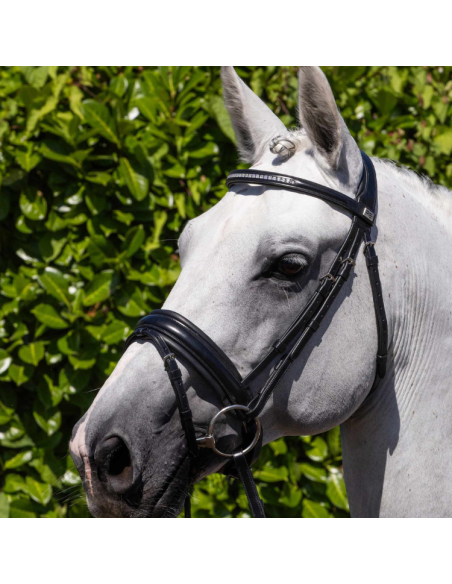 Bridon Premier Equine Anatomique Castello Noir
