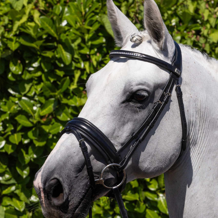 Bridon Premier Equine Anatomique Castello Noir