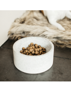 Kentucky Dog Bowl Granite S 2