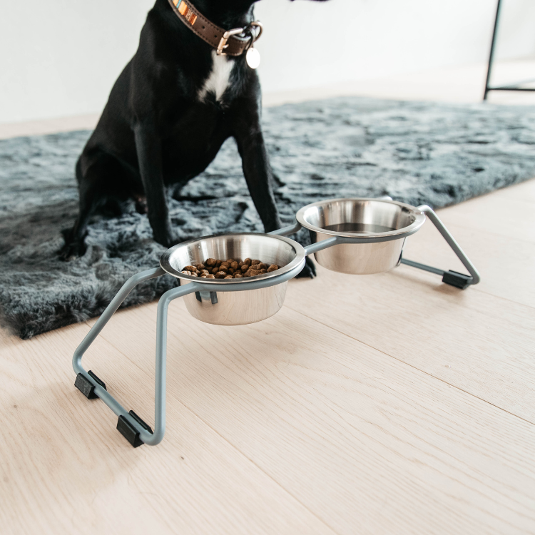 Gamelle Kentucky Pour Chien Confort Bleu S