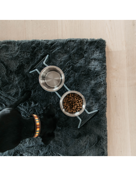 Gamelle Kentucky Pour Chien Confort Bleu S