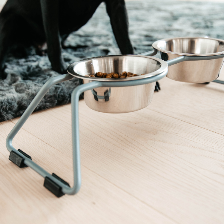 Gamelle Kentucky Pour Chien Confort Bleu S