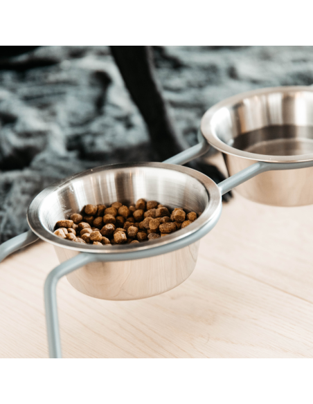 Gamelle Kentucky Pour Chien Confort Bleu S