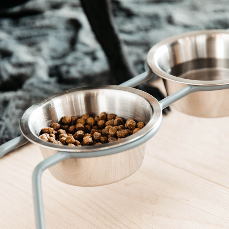 Gamelle Kentucky Pour Chien Confort Bleu S