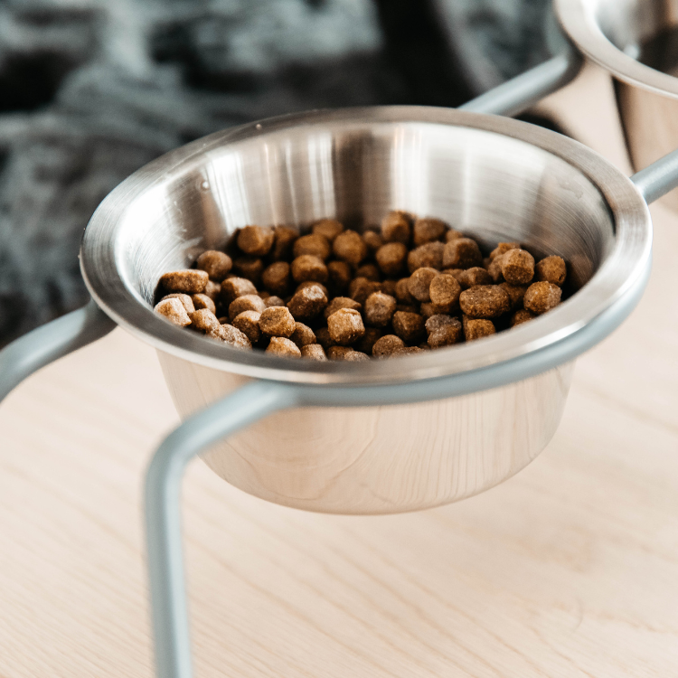 Gamelle Kentucky Pour Chien Confort Bleu S