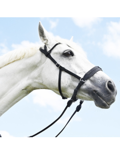 IHWT Evolution Bitless Soft T Contact Bridle Havana 2