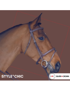 Silver Crown Bridle Style Chic 2