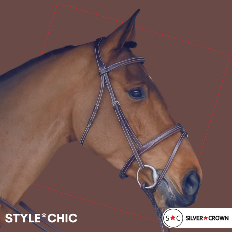 Bridon Silver Crown Style Chic AUSTRALIAN NUT/CHATAIGNE