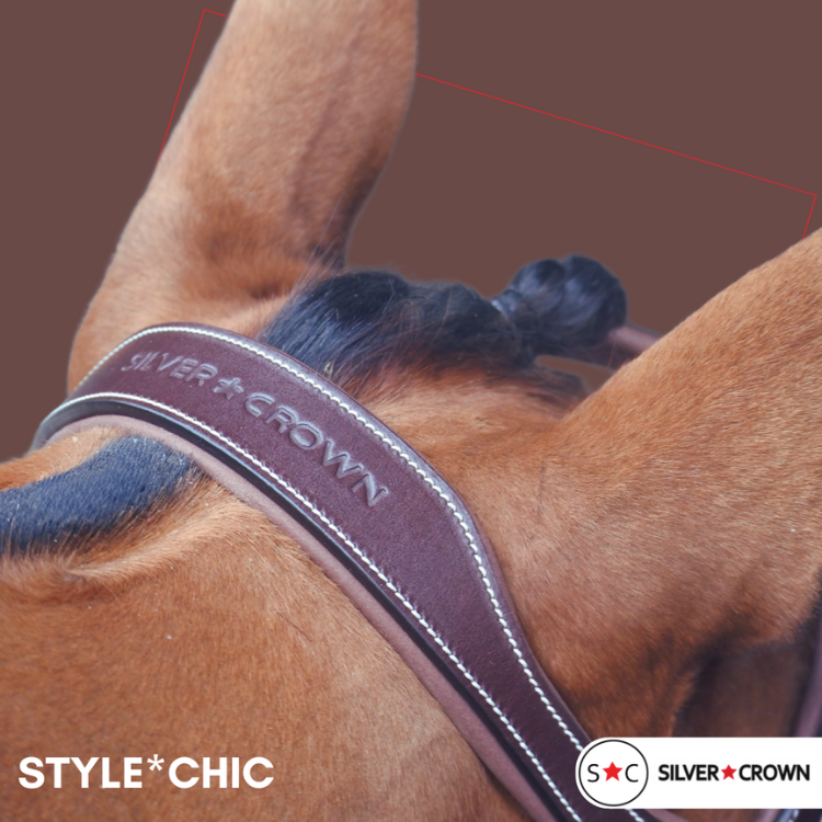 Bridon Silver Crown Style Chic AUSTRALIAN NUT/CHATAIGNE