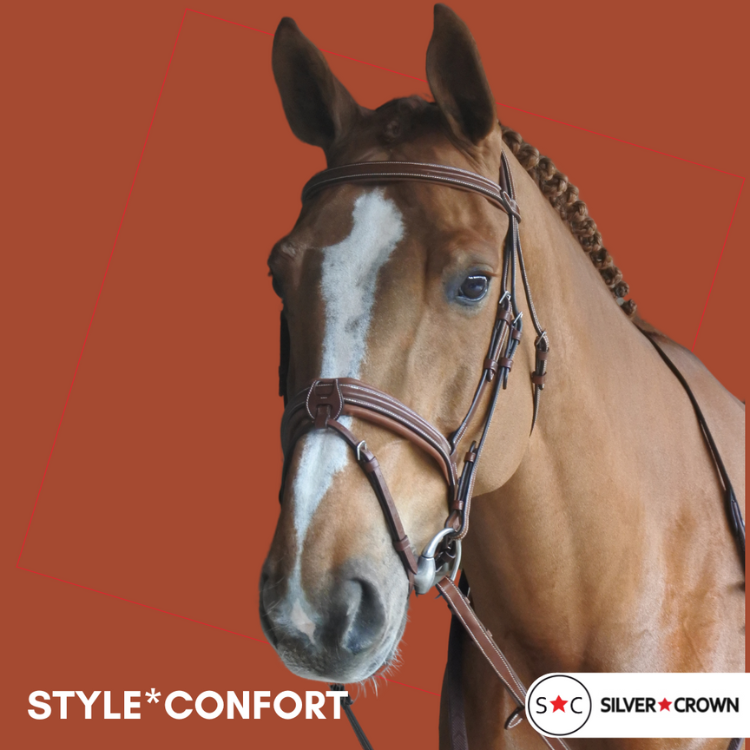 Silver Crown Comfort Bridle