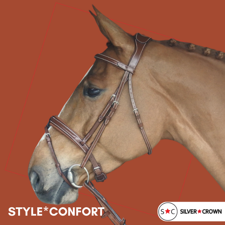 Silver Crown Comfort Bridle