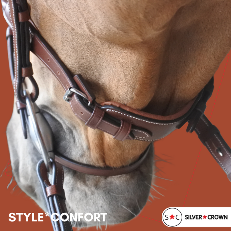 Silver Crown Comfort Bridle