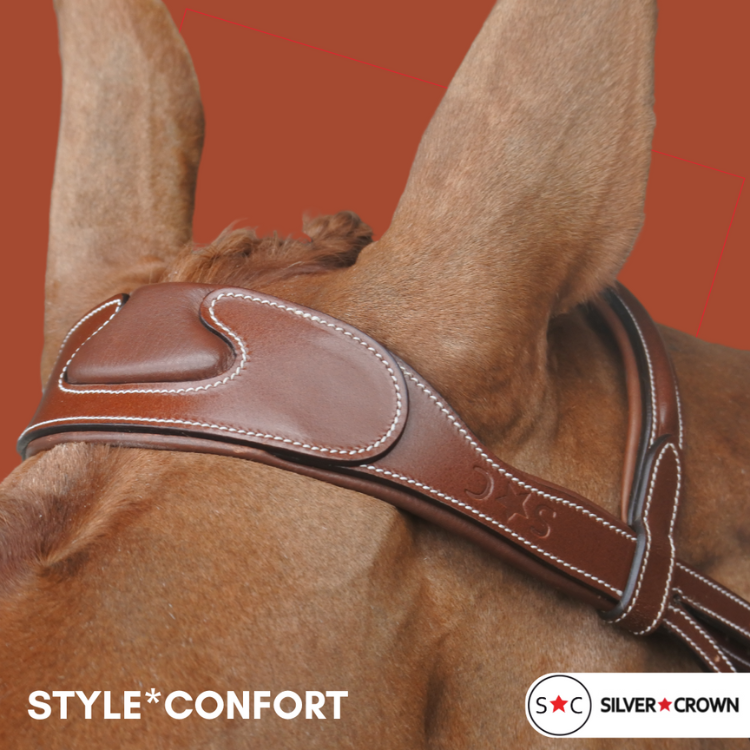 Silver Crown Comfort Bridle