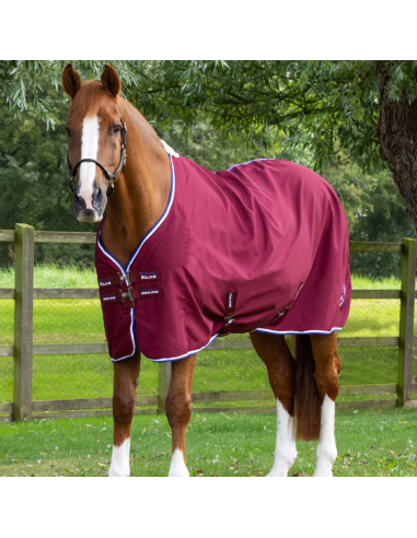 Chemise D'écurie Premier Equine Stratus Bordeaux