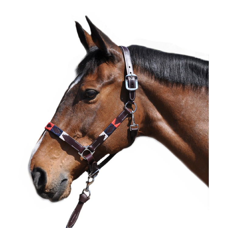 Licol Flags&Cup Chukka marron/bleu/rouge