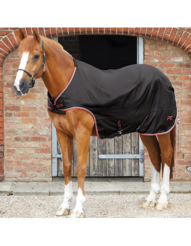 Premier Equine Walker Rug 100g Black