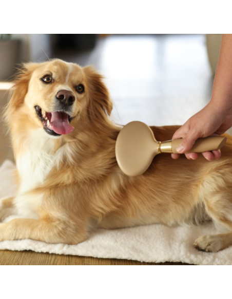 Brosse MagicBrush Care Douce Doré