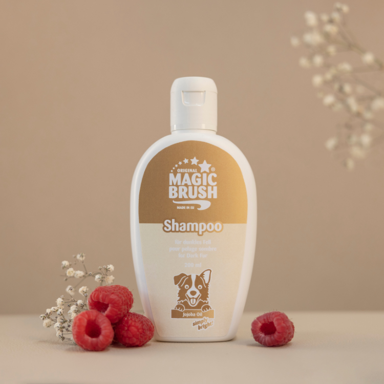 Shampoing MagicBrush Pelage Sombre Pour Chiens