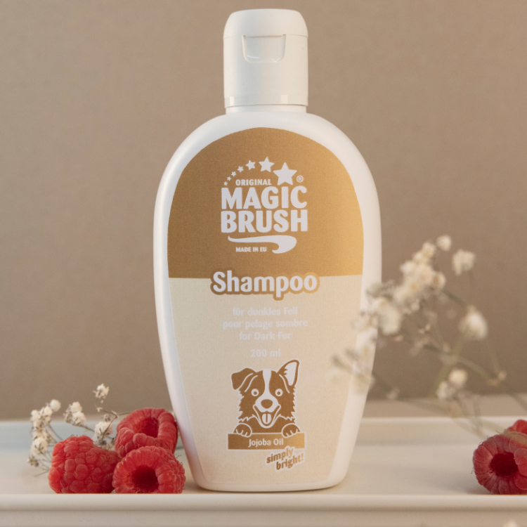 Shampoing MagicBrush Pelage Sombre Pour Chiens
