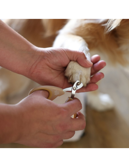 Ciseaux MagicBrush Coupe-Griffes Doré