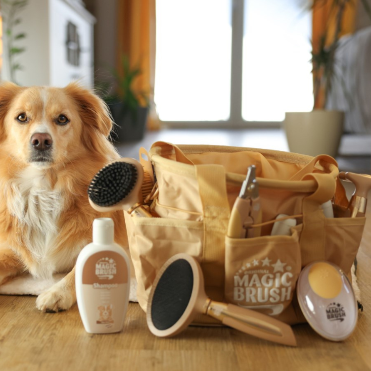 Sac De Toilettage MagicBrush