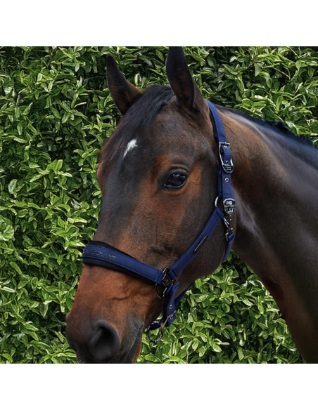 Licol Avec Longe Premier Equine Duco Marine