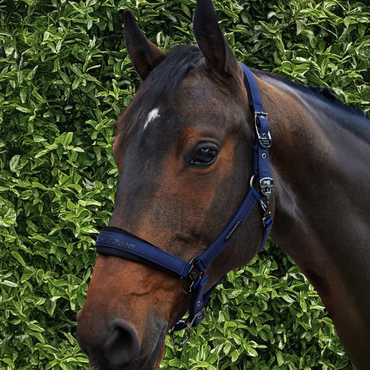 Licol Avec Longe Premier Equine Duco Marine