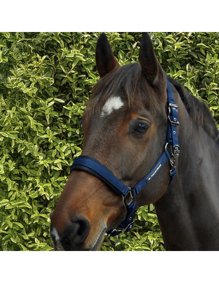 Licol Avec Longe Premier Equine Corda Marine