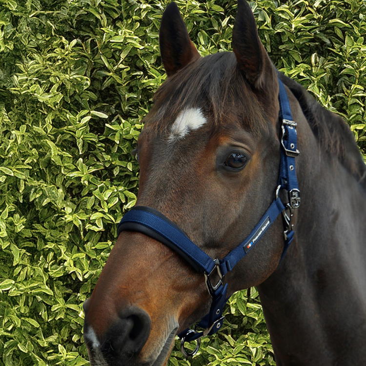 Licol Avec Longe Premier Equine Corda Marine