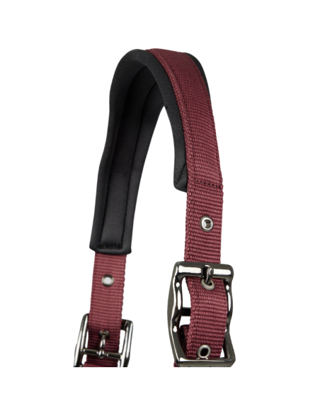Licol Avec Longe Premier Equine Corda Bordeaux