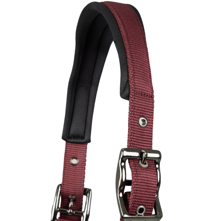 Licol Avec Longe Premier Equine Corda Bordeaux