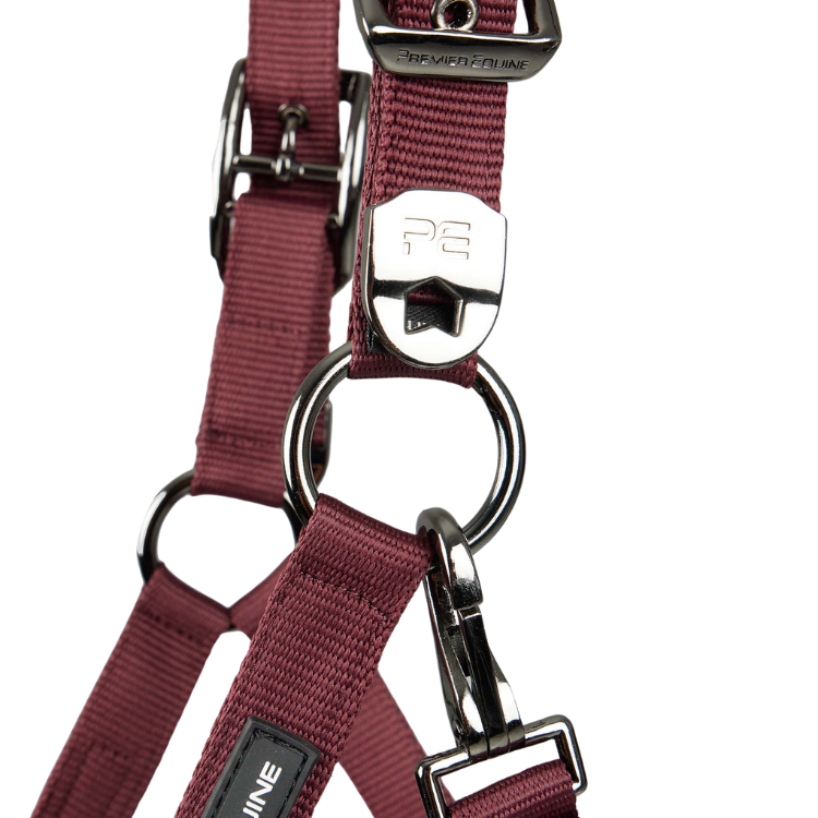 Licol Avec Longe Premier Equine Corda Bordeaux