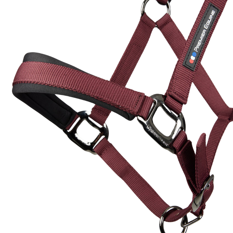 Licol Avec Longe Premier Equine Corda Bordeaux