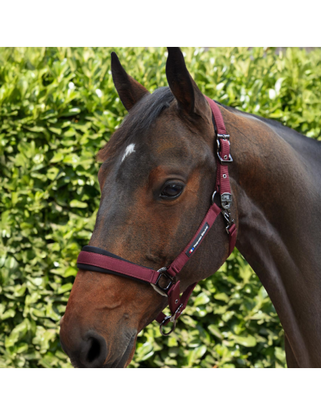 Licol Avec Longe Premier Equine Corda Bordeaux