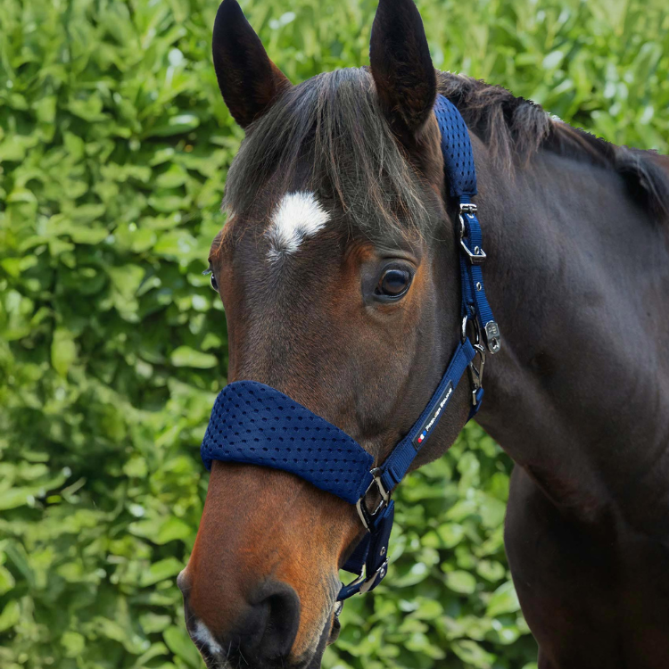 Licol Avec Longe Premier Equine 3D Mesh Necto Marine