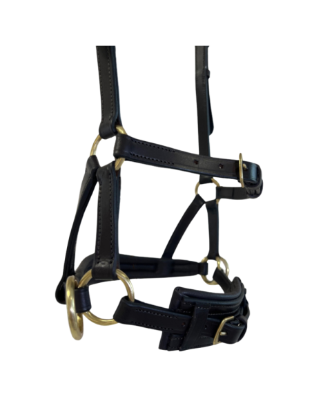 Side Pull TdeT Cuir No More Havane foncé