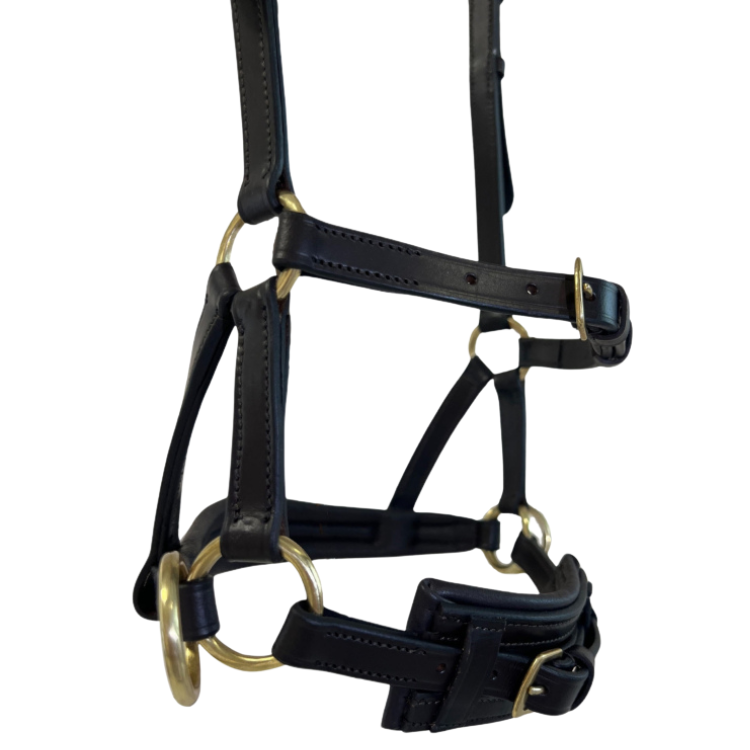 Side Pull TdeT Cuir No More Havane foncé