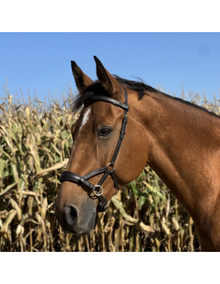 Side Pull TdeT Cuir No More Havane foncé