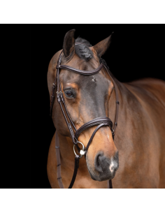 Bridon HV Polo Legacy noir 2