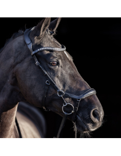 Bridon HV Polo Legacy Anatomique Deluxe noir 2