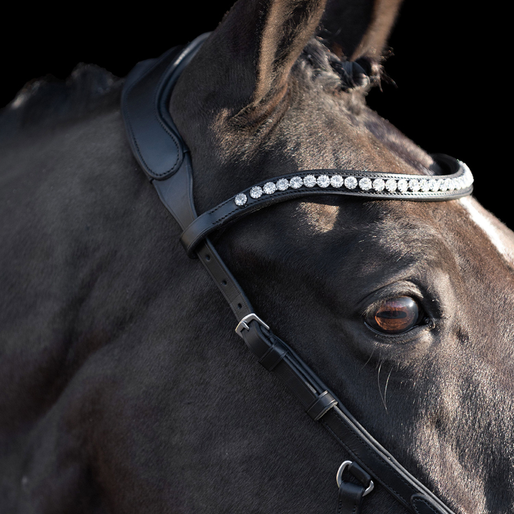 Harnais De Poitrine Diplomate – Marron/noir – Frange Anatomique – Neuf