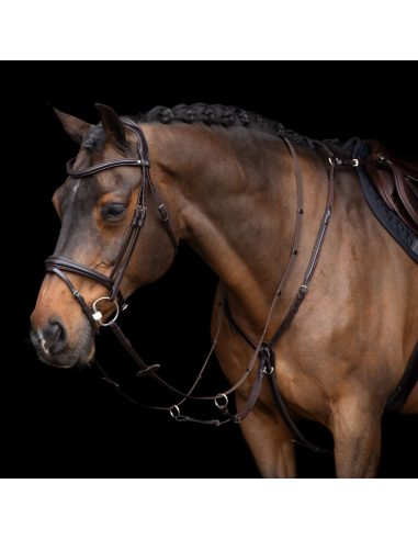 HV Polo Legacy Breastplate With Martingale Dark brown