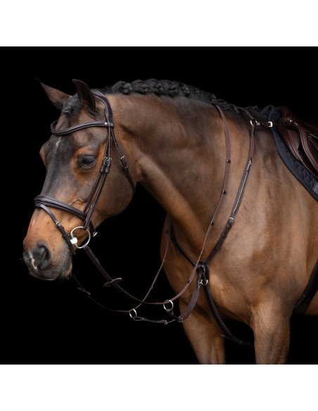 Collier De Chasse HV Polo Legacy Avec Martingale Marron foncé