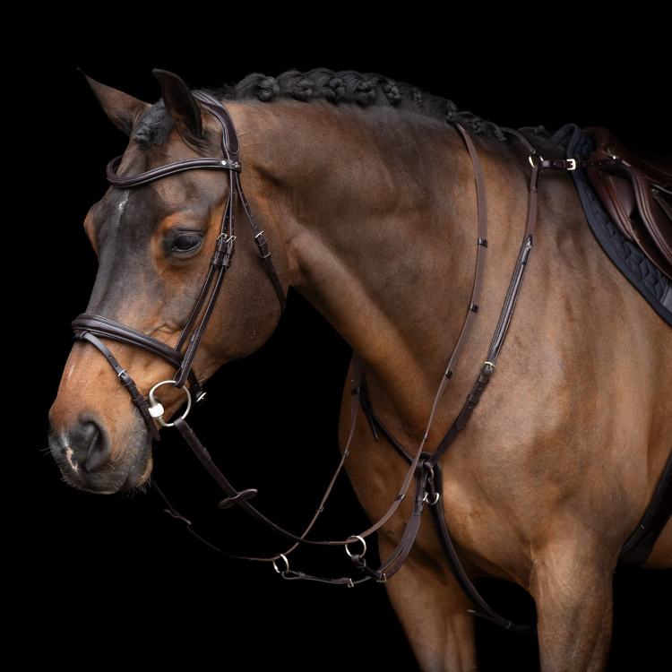 Collier De Chasse HV Polo Legacy Avec Martingale Marron foncé