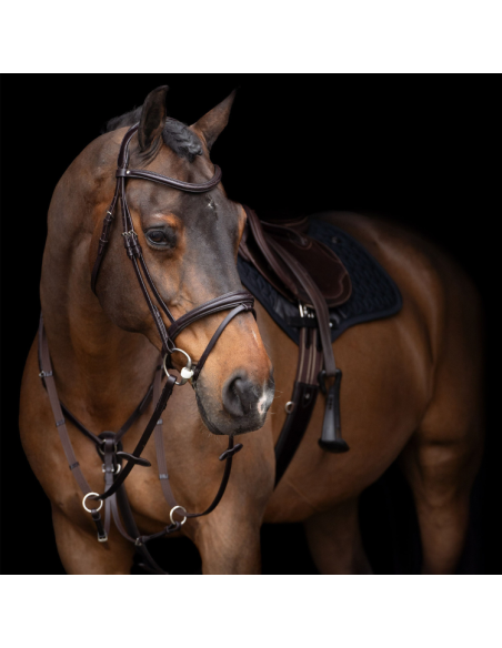 Collier De Chasse HV Polo Legacy Avec Martingale Marron foncé